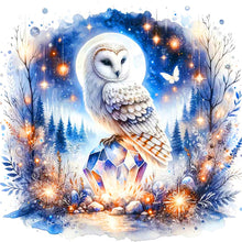 Load image into Gallery viewer, Owl At Night - 40*40CM 11CT Stamped Cross Stitch
