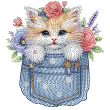 Load image into Gallery viewer, Cat In Pocket 30*30CM(Canvas) Partial Special Shaped Drill Diamond Painting
