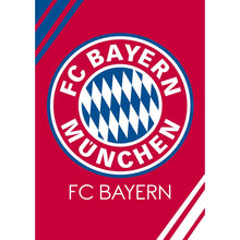 Load image into Gallery viewer, Bayern Munich Club Logo - 30*40CM 11CT Stamped Cross Stitch
