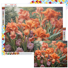 Load image into Gallery viewer, Poppy Flower 50*40CM(Canvas) Full Square Drill Diamond Painting
