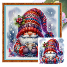Load image into Gallery viewer, Winter Goblin 50*50CM11CT 3 Stamped Cross Stitch
