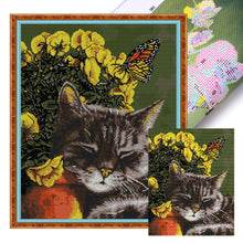 Load image into Gallery viewer, The Cats Are Intoxicated - 14CT Stamped Cross Stitch 35*42CM(Joy Sunday)
