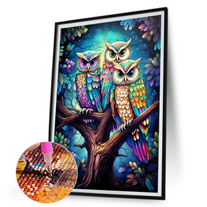 Owl 30*45CM(Canvas) Full Round Drill Diamond Painting
