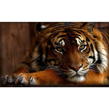 Load image into Gallery viewer, Tiger 50*30CM(Canvas) Full Round Drill Diamond Painting
