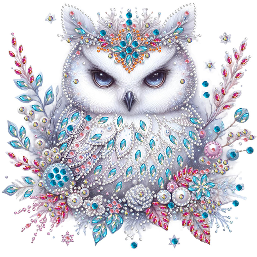Bald Owl 30*30CM(Canvas) Partial Special Shaped Drill Diamond Painting