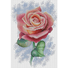 Load image into Gallery viewer, Pink Rose - 23*33CM 14CT Stamped Cross Stitch(Joy Sunday)
