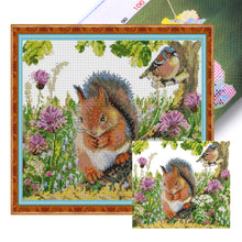 Load image into Gallery viewer, Squirrel And Bird - 35*31CM 14CT Stamped Cross Stitch(Joy Sunday)
