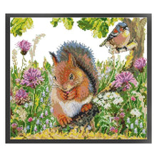 Load image into Gallery viewer, Squirrel And Bird - 35*31CM 14CT Stamped Cross Stitch(Joy Sunday)
