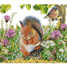 Load image into Gallery viewer, Squirrel And Bird - 35*31CM 14CT Stamped Cross Stitch(Joy Sunday)
