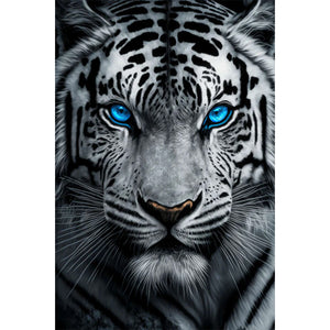 White Tiger With Blue Eyes 40*60CM(Picture) Full AB Round Drill Diamond Painting