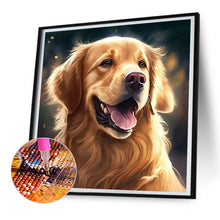 Load image into Gallery viewer, Golden Retriever Dog 30*30CM(Canvas) Full Round Drill Diamond Painting
