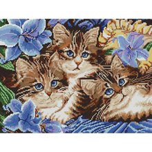 Load image into Gallery viewer, Joy Sunday Cats(39*31CM) 14CT stamped cross stitch

