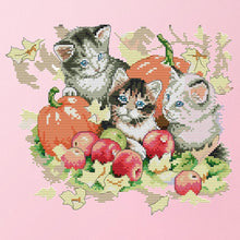 Load image into Gallery viewer, Joy Sunday Autumn Kitties(31*27CM) 14CT stamped cross stitch
