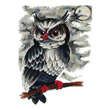 Load image into Gallery viewer, Joy Sunday Owl Bird(34*27CM) 14CT stamped cross stitch
