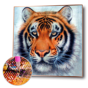 Tiger 30x30cm(Canvas) full round drill diamond painting