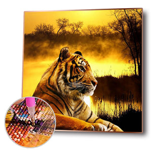 Tiger 30x30cm(Canvas) full round drill diamond painting