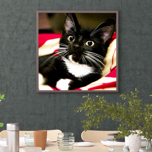 Long Whisker Black Cat 30*30CM full round DRILL diamond painting