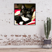 Load image into Gallery viewer, Long Whisker Black Cat 30*30CM full round DRILL diamond painting
