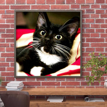 Load image into Gallery viewer, Long Whisker Black Cat 30*30CM full round DRILL diamond painting
