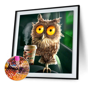 Funny Owl 30*30cm(canvas) full round drill diamond painting