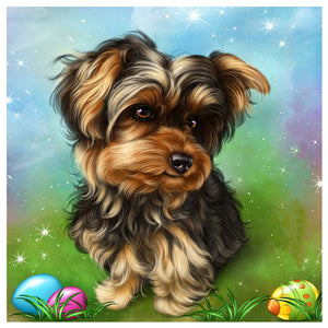 Yorkshire Terrier 30*30CM(Picture) Full Square Drill Diamond Painting