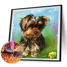 Load image into Gallery viewer, Yorkshire Terrier 30*30CM(Picture) Full Square Drill Diamond Painting
