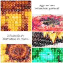 Load image into Gallery viewer, Santa Claus 30*30CM(Picture) Full Square Drill Diamond Painting
