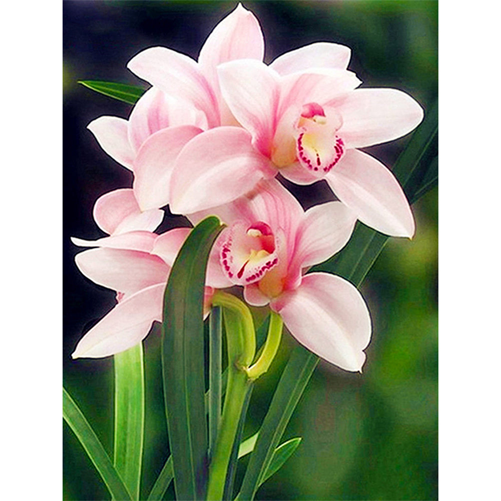 The Orchid 30*40CM(Canvas) Full Round Drill Diamond Painting