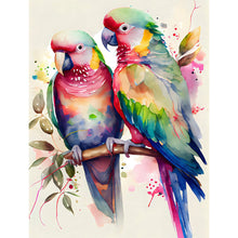Load image into Gallery viewer, Parrot Artwork (40*55CM) 11CT 3 Stamped Cross Stitch
