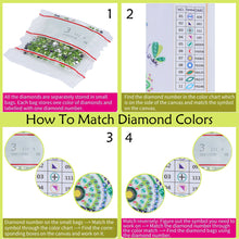Load image into Gallery viewer, Colorful Apple 30*40CM(Canvas) Partial Special Shaped Drill Diamond Painting
