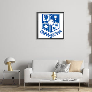 Tranmere Rovers Football Club 30*30CM(Canvas) Full Round Drill Diamond Painting