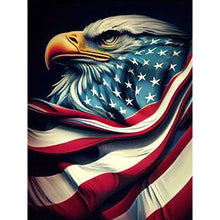 Load image into Gallery viewer, Eagle 30*40CM(Picture) Full Square Drill Diamond Painting
