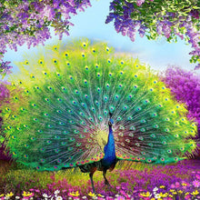 Load image into Gallery viewer, Peacock 40*40CM(Canvas) Full Round Drill Diamond Painting
