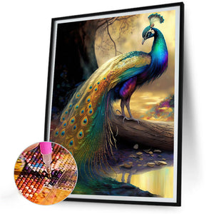 Peacock 30*40CM(Canvas) Full Round Drill Diamond Painting