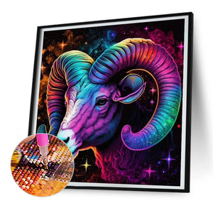 12 Constellation Capricorn 30*30CM(Canvas) Full Round Drill Diamond Painting