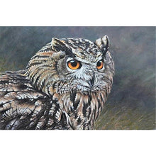 Load image into Gallery viewer, Owl (60*40CM) 11CT 3 Stamped Cross Stitch

