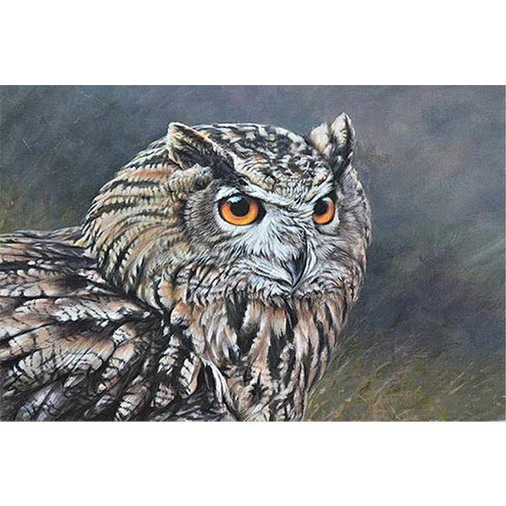 Owl (60*40CM) 11CT 3 Stamped Cross Stitch