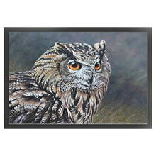 Load image into Gallery viewer, Owl (60*40CM) 11CT 3 Stamped Cross Stitch
