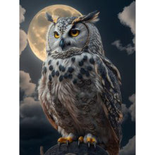 Load image into Gallery viewer, Owl 30*40CM(Picture) Full Square Drill Diamond Painting
