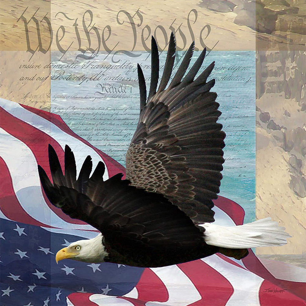American Eagle 50*50CM(Canvas) Full Round Drill Diamond Painting
