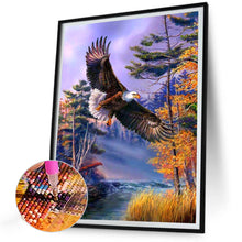 Load image into Gallery viewer, Eagle 30*40CM(Canvas) Full Round Drill Diamond Painting
