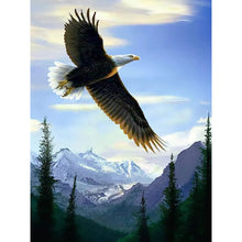 Load image into Gallery viewer, Flying Eagle 30*40CM(Canvas) Full Round Drill Diamond Painting
