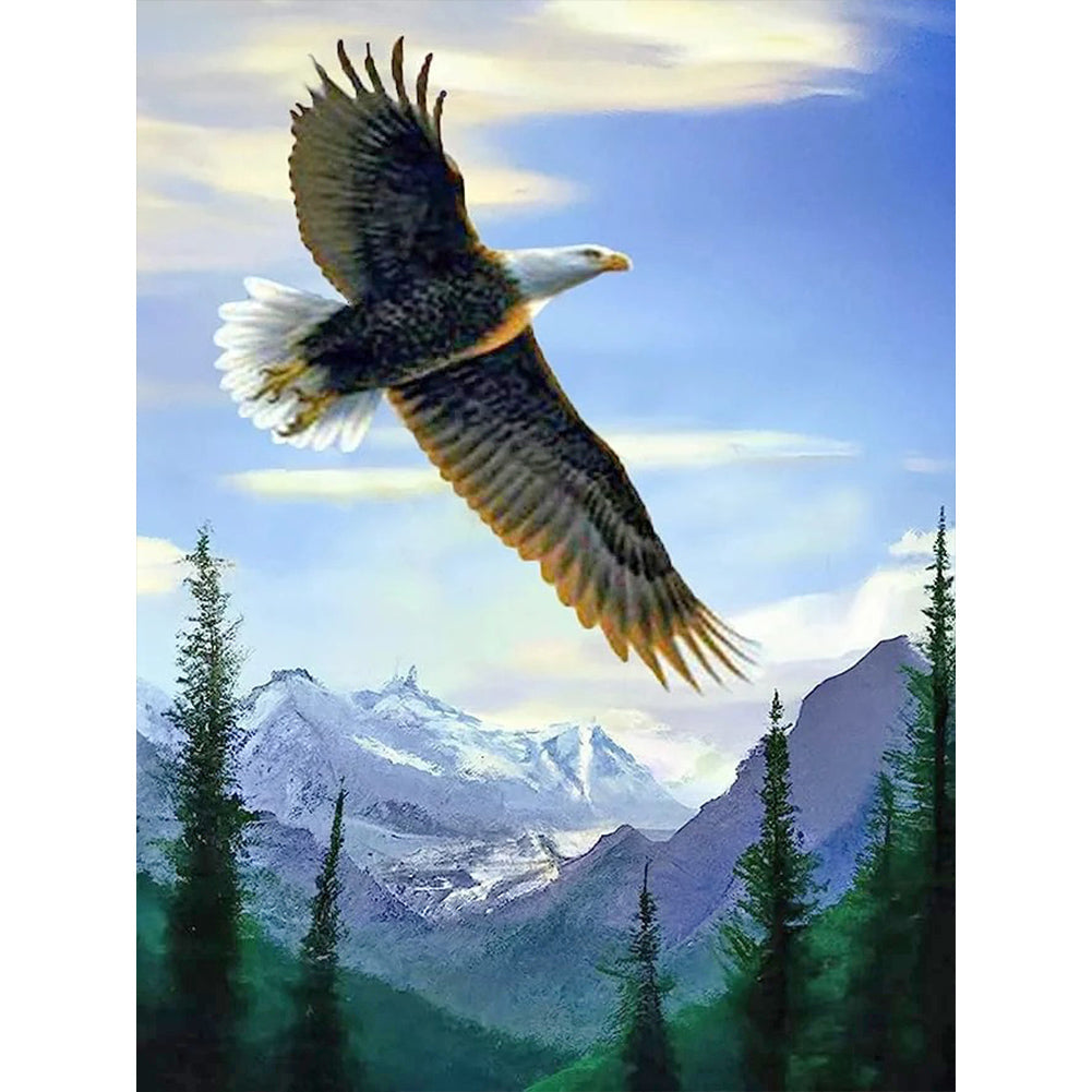 Flying Eagle 30*40CM(Canvas) Full Round Drill Diamond Painting
