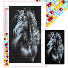 Load image into Gallery viewer, Mosaic Black And White Horse 40*70CM(Picture) Full Square Drill Diamond Painting
