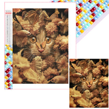 Load image into Gallery viewer, Goldfish Cat 40*50CM(Picture) Full Square Drill Diamond Painting
