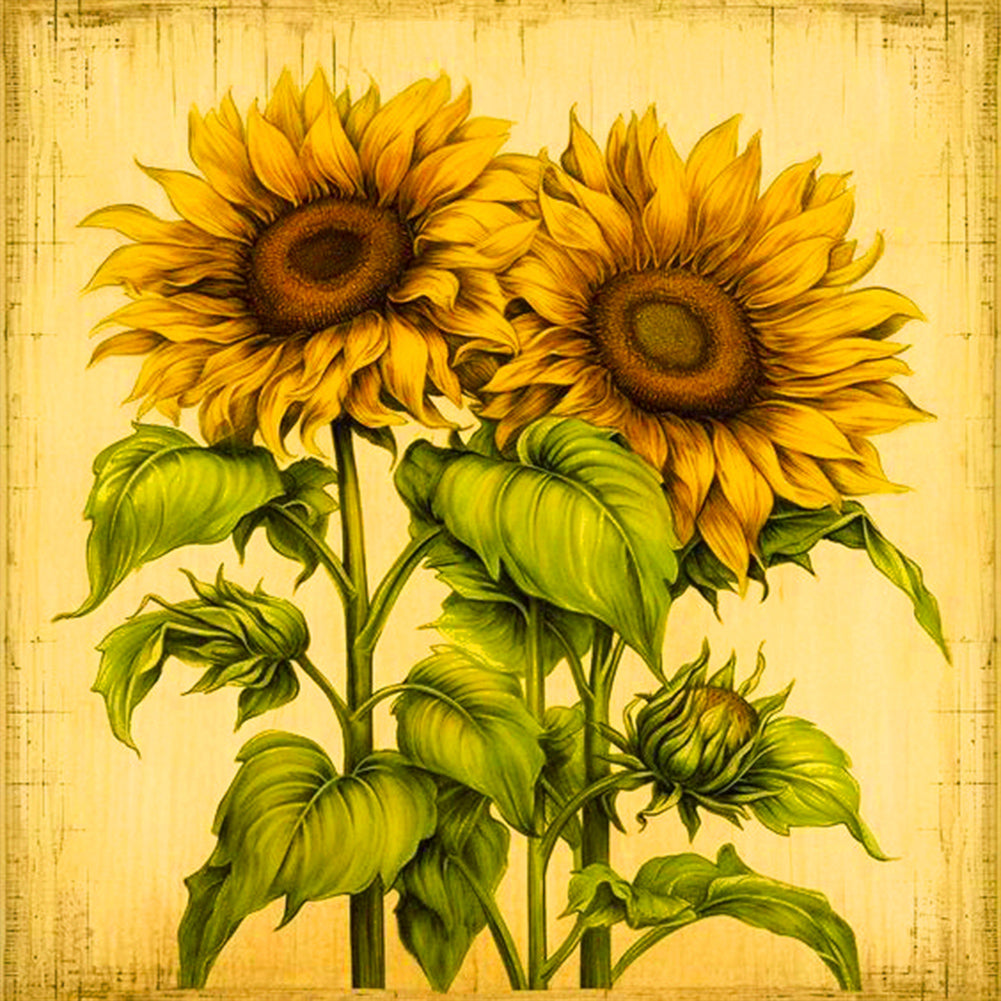 Two Bunches Of Sunflowers 30*30CM(Canvas) Full Round Drill Diamond Painting