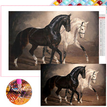Load image into Gallery viewer, Black Horse White Horse 70*45CM(Picture) Full Square Drill Diamond Painting
