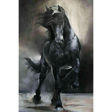 Load image into Gallery viewer, Black And White Galloping Horse 40*60CM(Picture) Full Square Drill Diamond Painting
